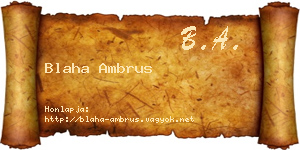 Blaha Ambrus névjegykártya